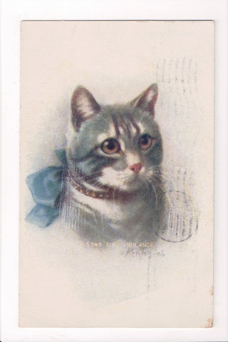 Animal - Cat or cats postcard - SIR VIGILANCE, Kenyon card - A06779