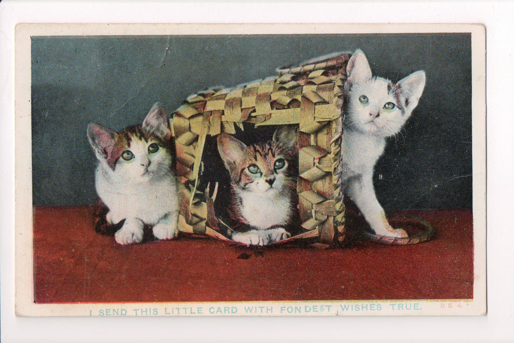 Animal - Cat or cats postcard - 3 kittens in and around basket - A06781