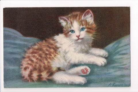 Animal - Cat or cats postcard - blue eyed orange and white - A06783