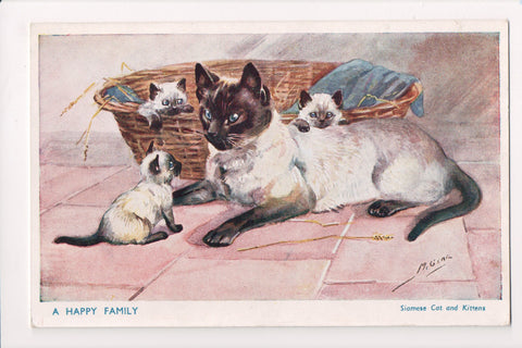 Animal - Cat or cats postcard - A HAPPY FAMILY (Siamese cats) - A12137