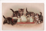 Animal - Cat or cats postcard - kittens around tea service - C06613