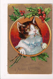 Animal - Cat or cats postcard - Xmas Cats Series, WIDE eyed with blue bow - C171