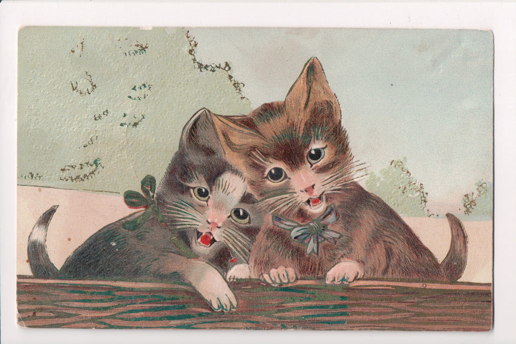 Animal - Cat or cats postcard - Pair of kittens singing - American Art Works - C