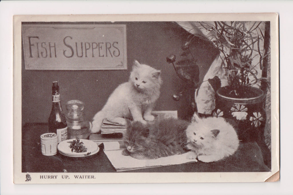 Animal - Cat or cats postcard - HURRY UP, WAITER - Tuck Happy Catland - MA0107