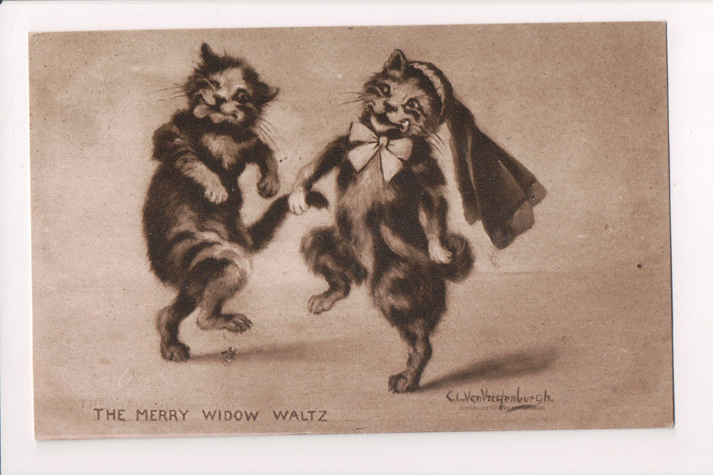 Animal - Cat or cats postcard - Anthromorphic, dancing - @1909 - S01797