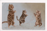 Animal - Cat or cats postcard - Anthromorphic kittens jumping rope - SH7119