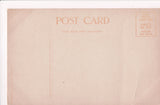 Animal - Cat or cats postcard - 5 kittens - IN THE LIBRARY - SH7132