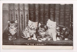 Animal - Cat or cats postcard - 5 kittens - IN THE LIBRARY - SH7132