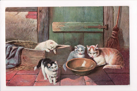 Animal - Cat or cats postcard - few near an empty bowl - SH7275