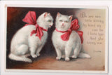 Animal - Cat or cats postcard - 2 white cats, ribbons, bows - Clivett - SH7363