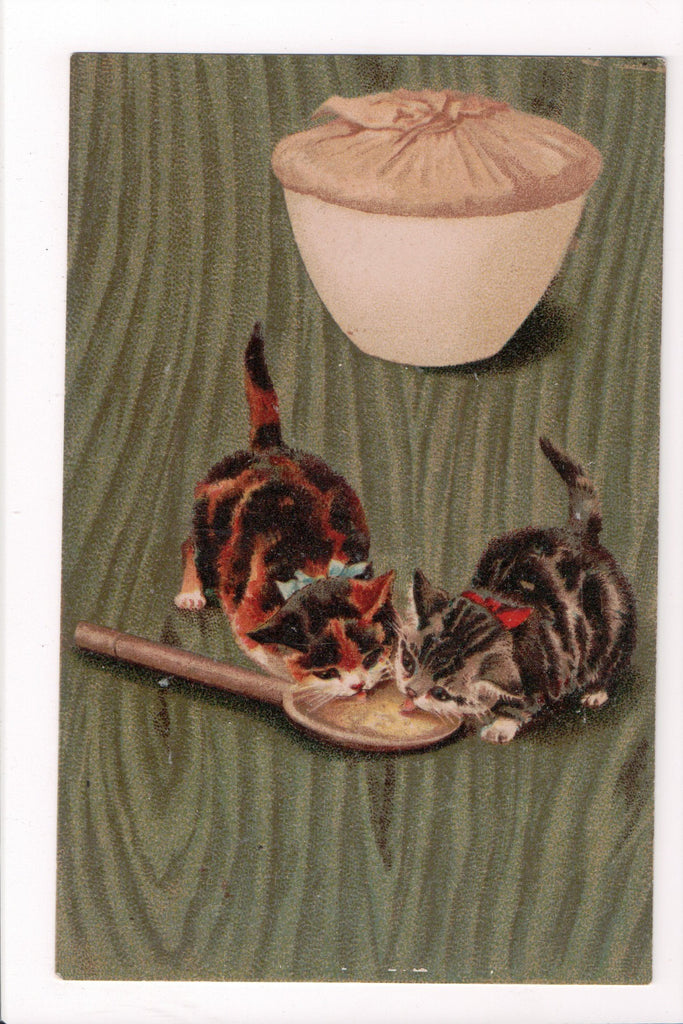 Animal - Cat or cats postcard - 2 multi color kittens licking a wooden spoon - S