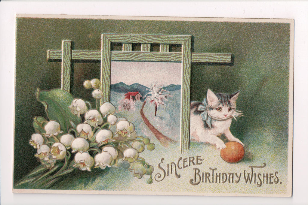 Animal - Cat or cats postcard - Birthday Wishes - Meissner and Buch - SH7376