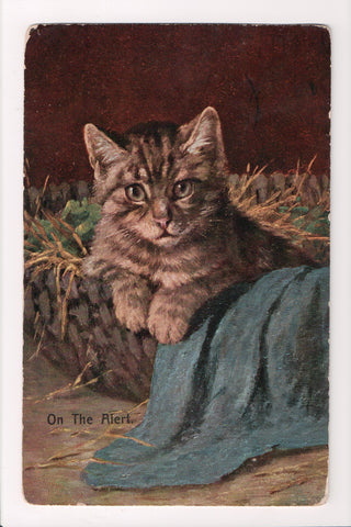 Animal - Cat or cats postcard - kitten ON THE ALERT - @1907 - SL2644