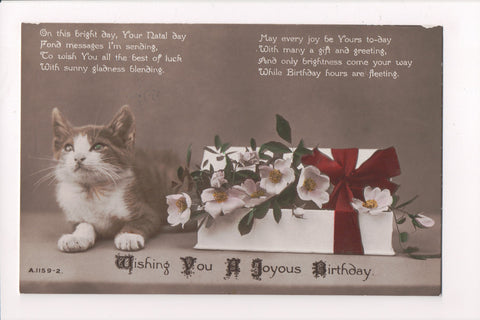 Animal - Cat or cats postcard - Young cat - birthday box of flowers - RPPC - VA0