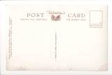 Animal - Cat or cats postcard - THE FAMILY PET - Animal Series RPPC - VT0144