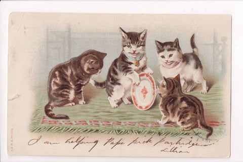 Animal - Cat or cats postcard - kittens playing with a plate - @1906 - w01399