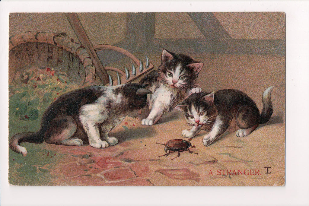 Animal - Cat or cats postcard - A STRANGER, kittens with BUG @1908 - D08070