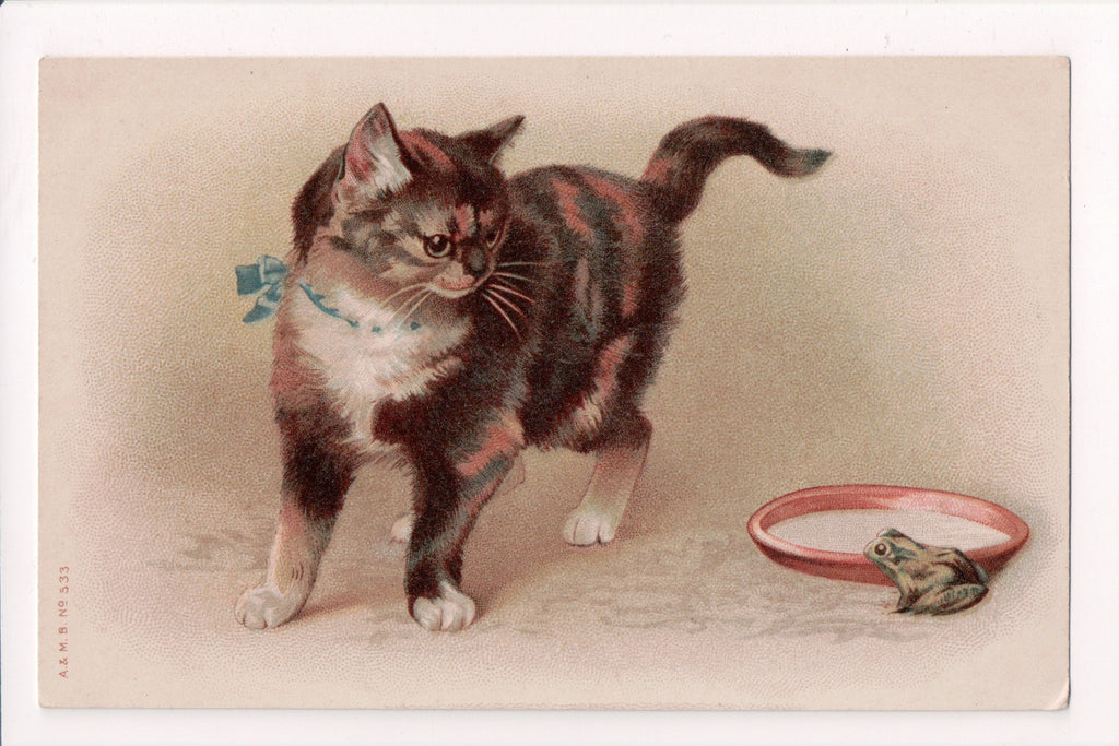 Animal - Cat or cats postcard - Kitten looking at frog - A and MB - D08068