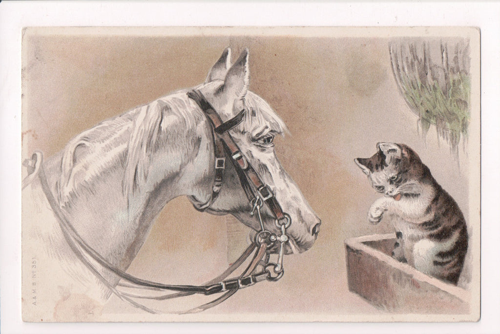 Animal - Cat or cats postcard - white horse, kitten - A and MB - F09005