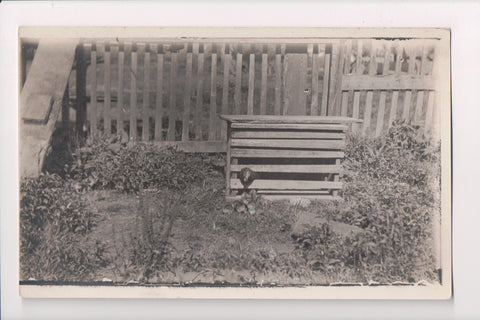 Animal - Chicken / Hen in a crude cage with chicks in front - RPPC - E05011