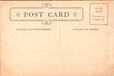 MI, Port Huron - Knights of the Maccabees, Supreme Tent postcard - D05056