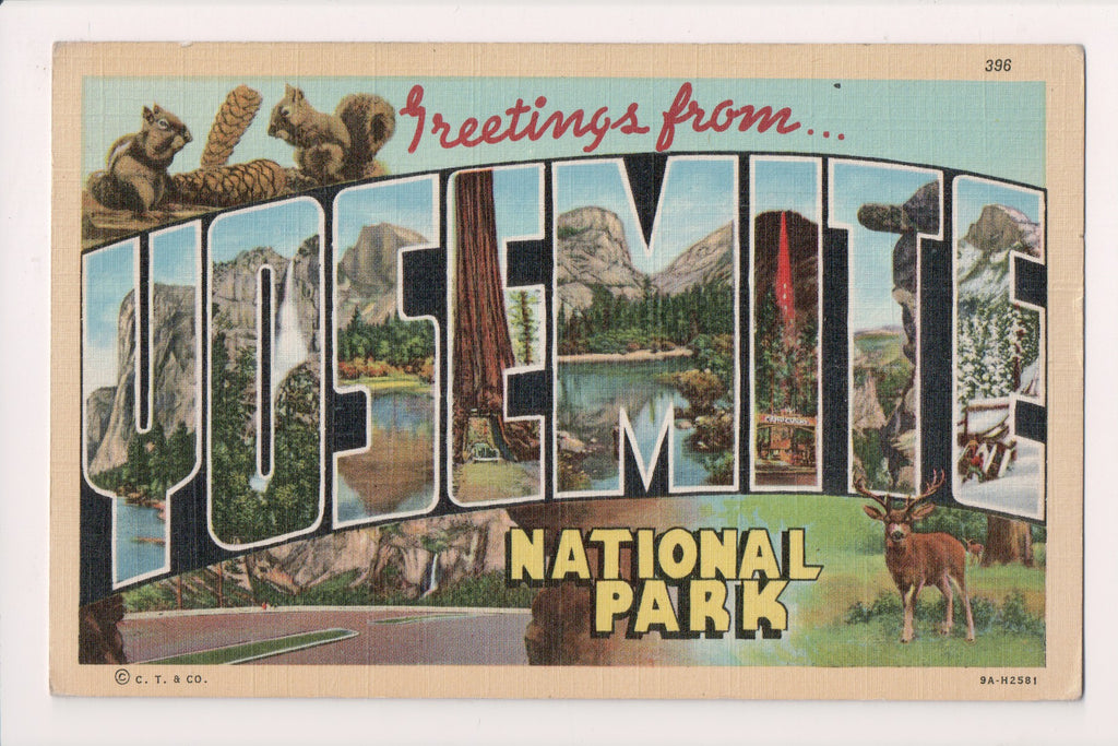 CA, YOSEMITE - National Park - Large Letter - Curt Teich - D05411