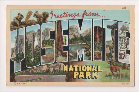 CA, YOSEMITE - National Park - Large Letter - Curt Teich - D05411