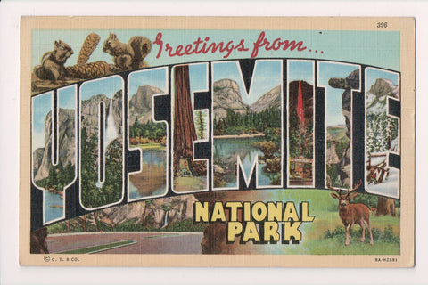 CA, Yosemite National Park - Large Letter - Curt Teich - D05411