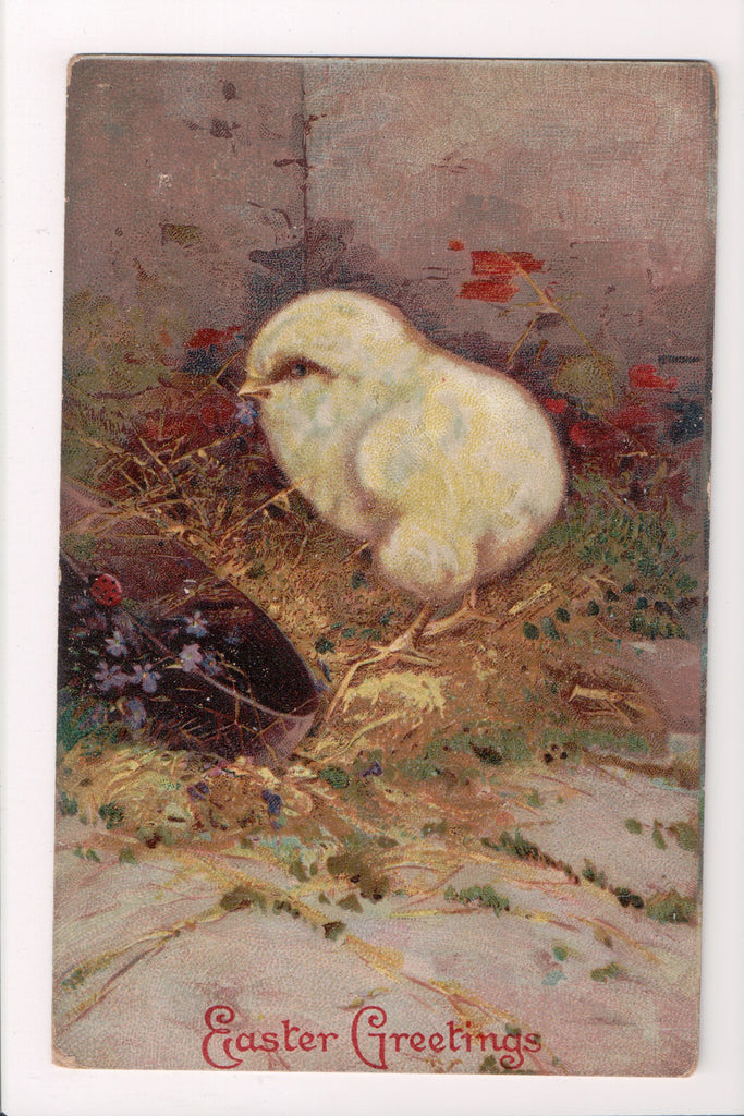 Easter postcard - large, fluffy chick eyeing a lady bug - D18009