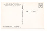Ship Postcard - NASSAU, S S - Incres Nassau Line - DG0023