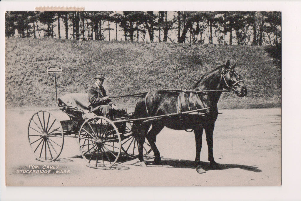 MA, STOCKBRIDGE - Tom Carey - horse and buggy - DG0165
