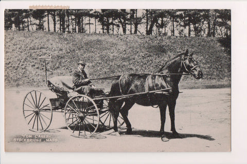 MA, STOCKBRIDGE - Tom Carey - horse and buggy - DG0165