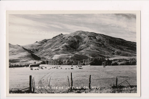 NV, ELKO Co - Ranch Scene, cows in field RPPC postcard - E04299