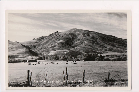 NV, Elko Co - Ranch Scene, cows in field RPPC postcard - E04299