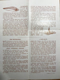 NY, YOUNGSTOWN - Old Fort Niagara brochure, map (original SOLD) E10292