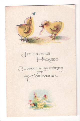Easter - chicks, one with a worm in its mouth, Joyeuses Paques - 800399