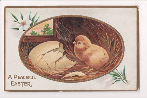 Easter - little chick near his cracked egg - Samson Bros - S357 postcard - C1705