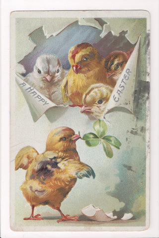 Easter - Chicks, 4 leaf clover - Tuck postcard - C17079