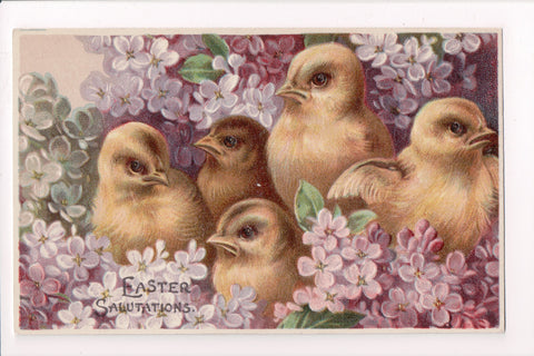 Easter - Chicks close up, in purple flowers - Easter Salutations - C17082