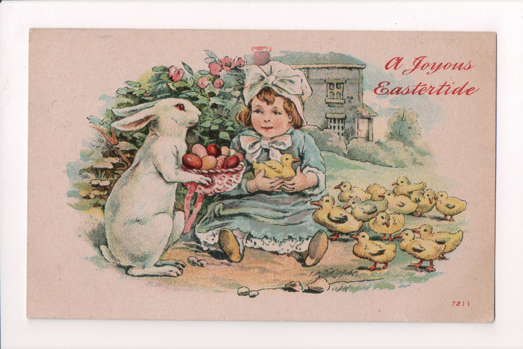 Easter - Anthropomorphic, fantasy upright bunny offering eggs postcard - CP0655