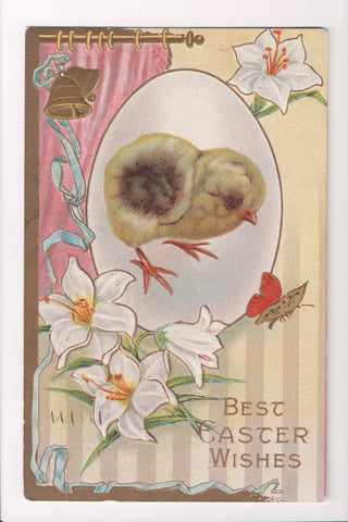 Easter - Chick close up, butterfly, white lily flowers - Samson Bros - D04218