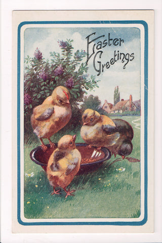 Easter - 3 chicks on food dish - American Colortype postcard - M-0207
