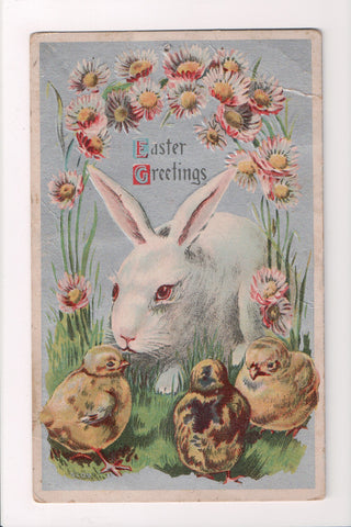 Easter - Large white rabbit, 3 chicks, vintage postcard - w02072