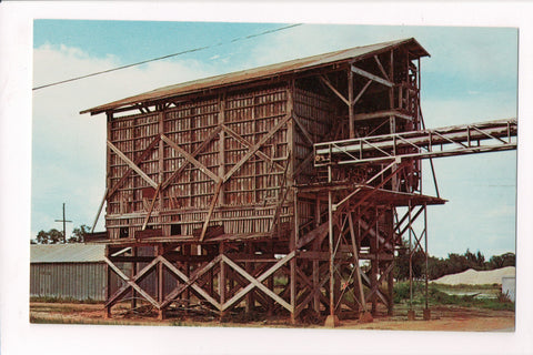 FL, Avon Park - Orange Conveyer, abandoned, postcard - JJ0728