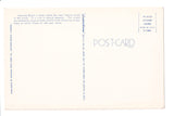 FL, Daytona Beach - Greetings from, Large Letter postcard - B08287