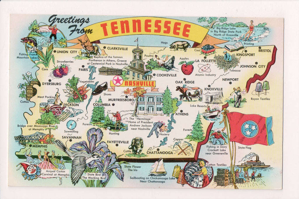 TN, Greetings from - STATE MAP postcard - G03302