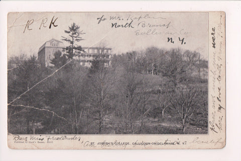 NY, CALLICOON on DELAWARE - St Josephs College (original SOLD) G18079