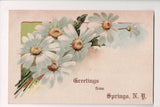NY, SPRINGS - Greetings from postcard, daisies postcard - G18124