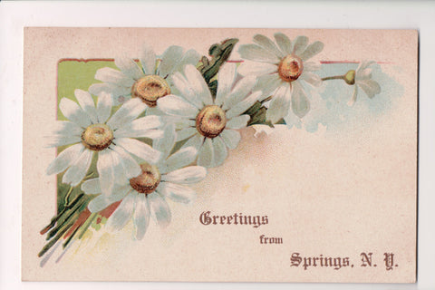 NY, SPRINGS - Greetings from postcard, daisies postcard - G18124