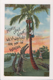 Black Americana - boy treed by alligator postcard - G18148